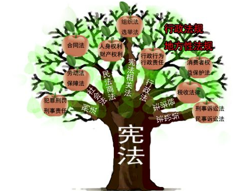 Փǰwϵ½Ylչʩ