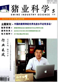 iIƌW