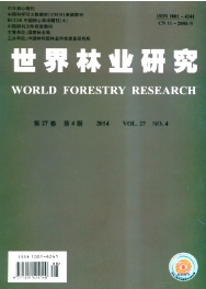 ֘Iо