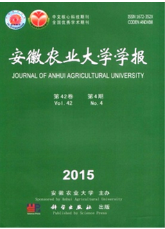 Zʳa½O푪