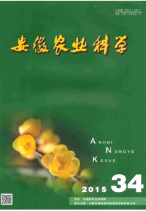rն¹푪÷