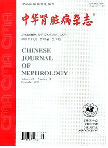 內蒙古腎病論文格式有何要求