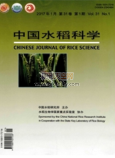 中國(guó)水稻科學(xué)