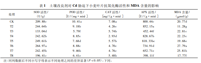(du)kȾСԡԼa(chn)Ӱ