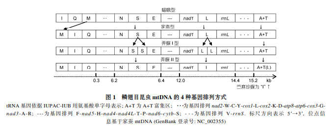 [Ŀx^wMWоMչ