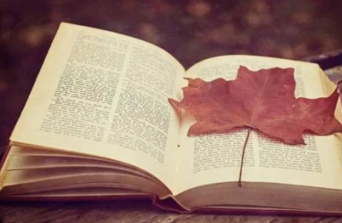yՓİlӢڿ