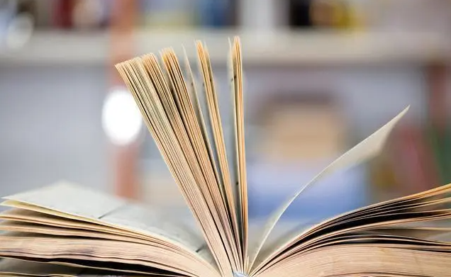 Computer Science, Information SystemsI(lng)sciڿ