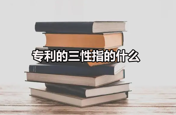 ָʲô