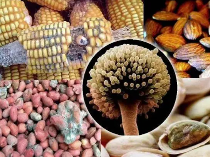 ʳƷ΢Ӣôxsciһ^ڿ