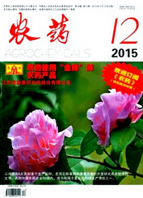 @IҎՓ
