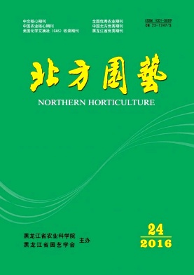 @ˇQՓ