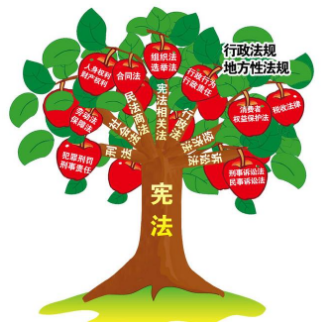 行政法