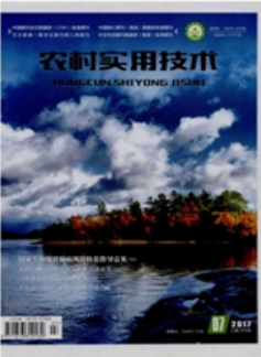 r匍üg