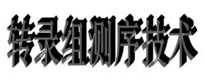 lֲD䛽MyµSCIڿ