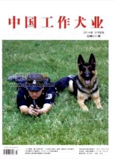 警犬健康保障在大規模安保工作中的經驗探討