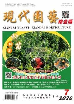 生態型鄉村景觀規劃設計探究