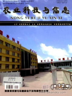 大數(shù)據(jù)背景下國(guó)土空間規(guī)劃策略探究
