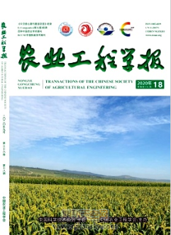 rǏW