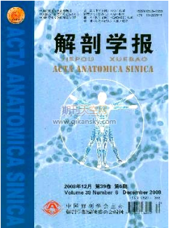 Rt(y)W(xu)µwʌW(xu)̌W(xu)ĸо
