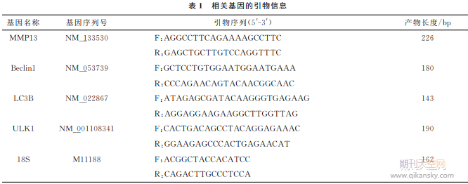 a(b)I(qing)zҌ(du)ϥP(gun)(ji)׵ίüәC(j)о