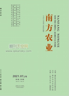 “美麗鄉村”建設下營山縣興云村鄉村旅游發展探討