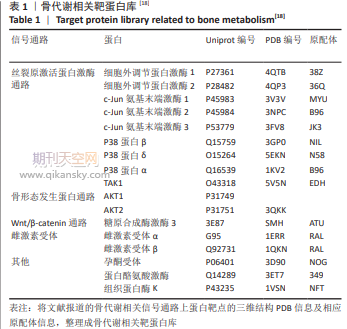 聚多巴胺輔助紅景天苷改善微弧氧化純鈦的成骨性能