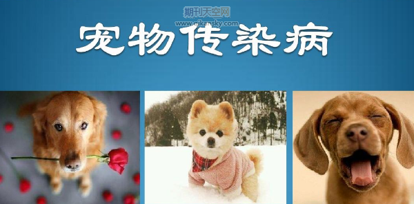 ڭh錧ȜؔUg΢оƬڌ߲zyеđչ